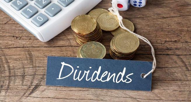 Canadian Natural Resources Limited Dividend Strength and Long-Term Energy Income Outlook Amid Cyclical Volatility