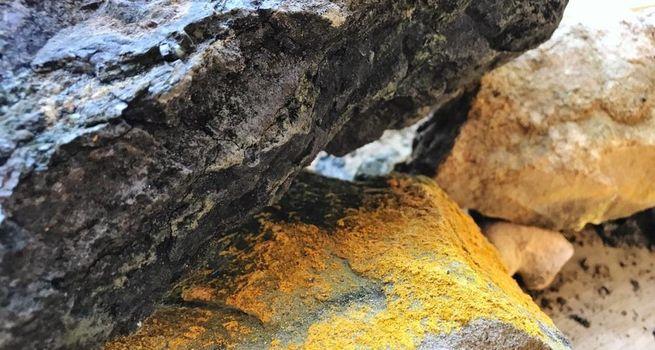 Nexus Uranium Slides as Funding Pressure and Geopolitical Risks Cloud Recovery Story