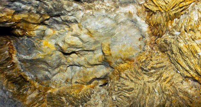 Why Did Golconda Gold Stock Surge 4.27% as Gold Prices Stay Near Multi-Year Highs?