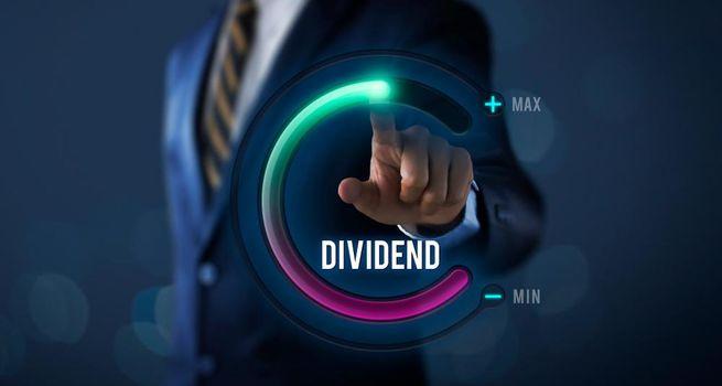 PLTE Dividend Sustainability in Focus as Harvest Palantir Enhanced ETF Continues Drawing Income Investor Attention