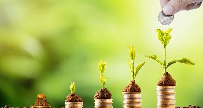 Source Rock Royalties Ltd. Dividend Analysis: Can the 7.8% Yield Deliver Sustainable Long-Term Income?