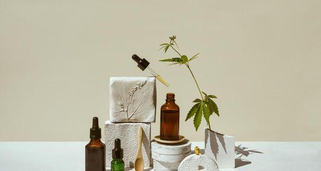 Auxly Cannabis Group Gains Momentum as Cannabis Sector Optimism Returns and Investor Sentiment Improves