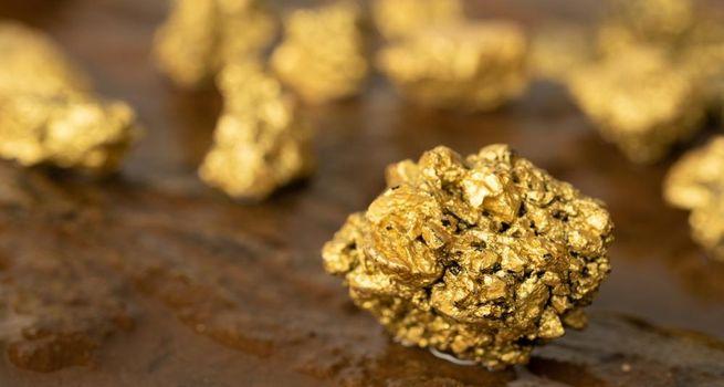 Why GoldMining Inc. (GOLD) Shares Are Plunging?