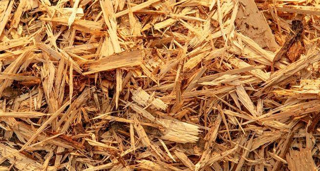 Ero Copper Corp: Can Copper Market Strength and Operational Progress Sustain the Recovery Narrative?