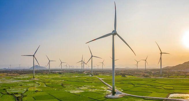Westbridge Renewable Energy Faces Selling Pressure as Project Risks and Market Uncertainty Build