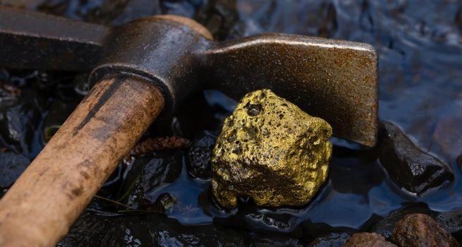 Why Are Investors Accumulating Guanajuato Silver as Gold and Silver Safe-Haven Demand Accelerates?