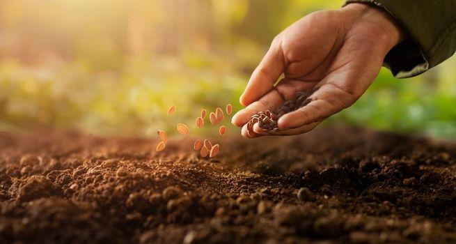 GURU Surge: Why Organic Energy Just Hit a 2026 High on the TSX