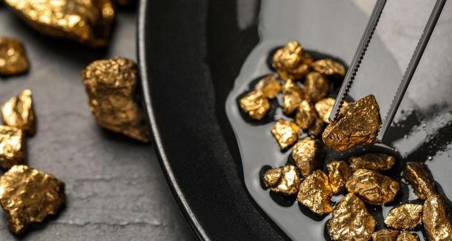San Lorenzo Gold Stock Falling Sharply What Is Driving the Weakness?