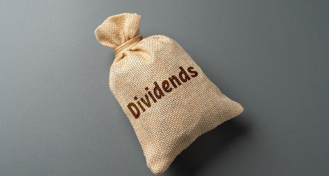 Premium Global Income Split Fund (TSX: PGIC) Dividend Outlook: Evaluating Yield Stability and Long-Term Income Potential