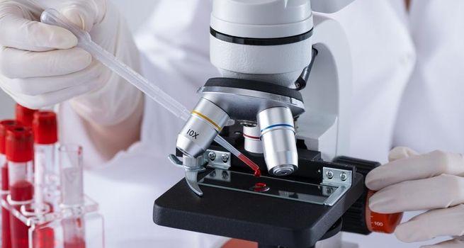 Pharmacorp Rx Gains Momentum as Healthcare Demand and Expansion Opportunities Drive Investor Optimism