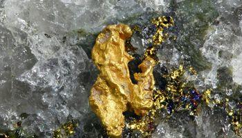 Can Golden Horse Minerals Capitalize on Strong Gold Prices and Rising Investor Demand?