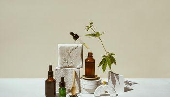 Auxly Cannabis Group Gains Momentum as Cannabis Sector Optimism Returns and Investor Sentiment Improves