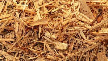 Ero Copper Corp: Can Copper Market Strength and Operational Progress Sustain the Recovery Narrative?
