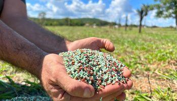 Chatham Rock Phosphate Gains Momentum as Food Security and Fertilizer Demand Themes Strengthen Market Interest