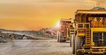 What Is Driving Investor Concern Around Artemis Gold as Gold Prices Remain Elevated?