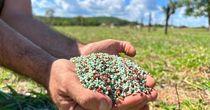 Chatham Rock Phosphate Gains Momentum as Food Security and Fertilizer Demand Themes Strengthen Market Interest