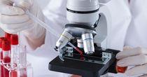 Pharmacorp Rx Gains Momentum as Healthcare Demand and Expansion Opportunities Drive Investor Optimism