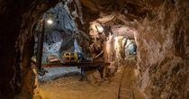 Great Red Lake Gold Gains Momentum as Strong Gold Markets Fuel Investor Optimism